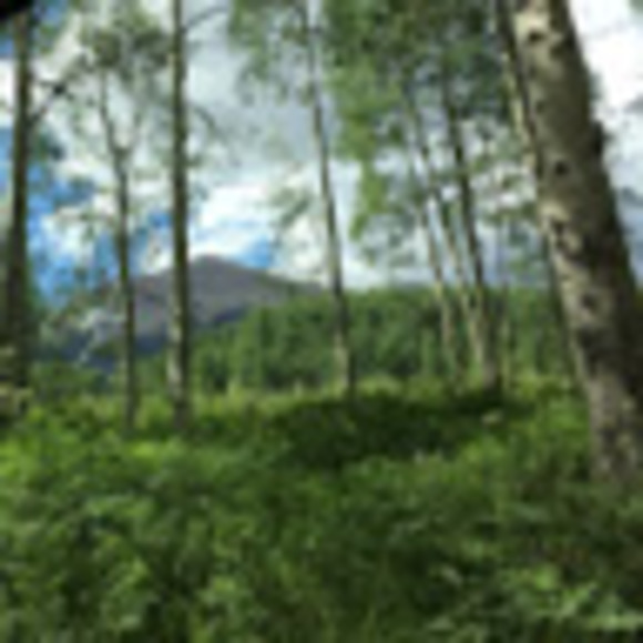 Meet your Posher, Caleb - Picture 1 of 1